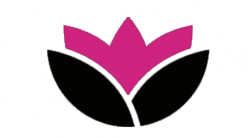 Lotus Candles